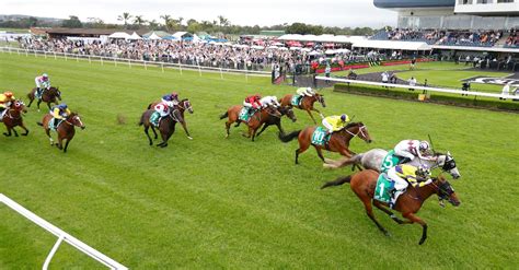 kembla grange tip fees.